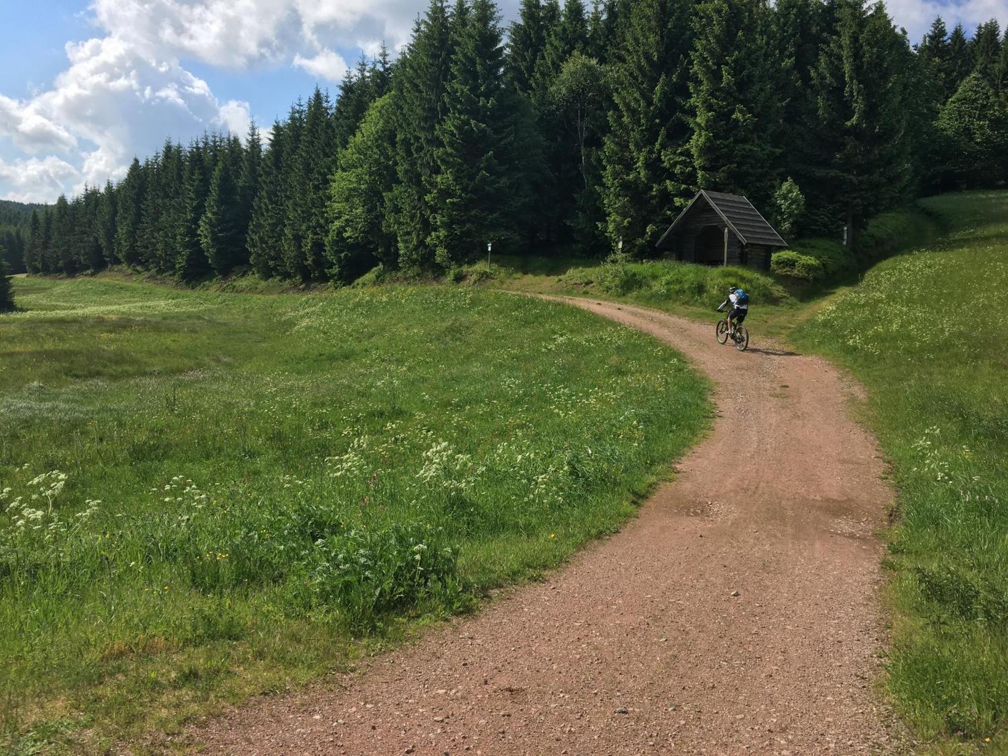 Ferienhaus Bikehuette Rehnhaeusl 가이징크 객실 사진