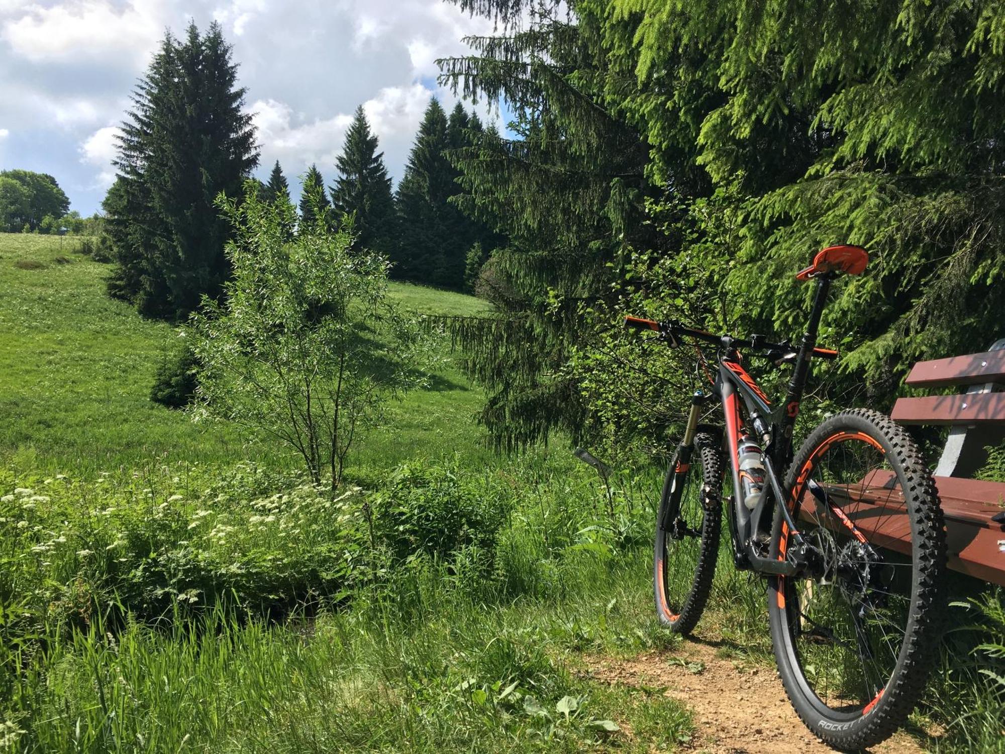Ferienhaus Bikehuette Rehnhaeusl 가이징크 외부 사진